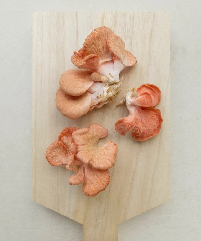 A wooden cutting board is placed on a counter with oyster mushrooms in the centre of it. The linked page discusses Good Planet's commitment to sustainability, eco-friendly materials and ethical practices for a greener home and life.