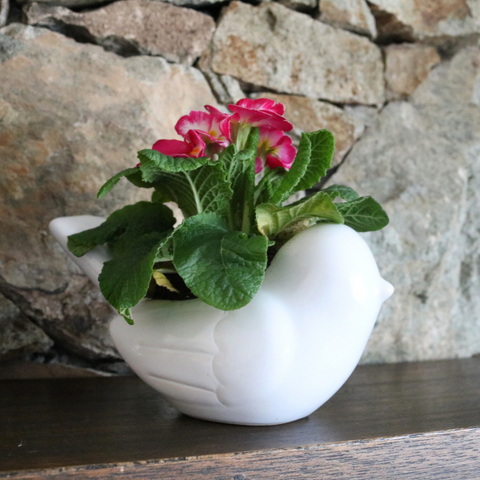 Ceramic Plant Pot