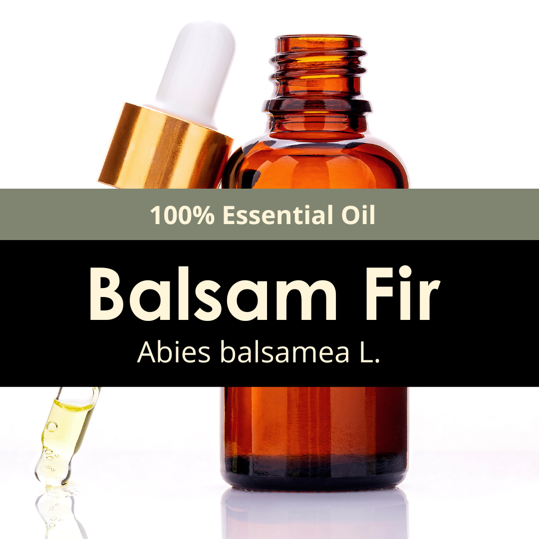 Balsam Fir Essential Oil