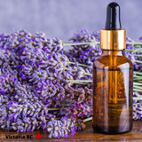 Lavender Essential Oil