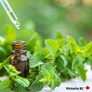 Peppermint Essential Oil