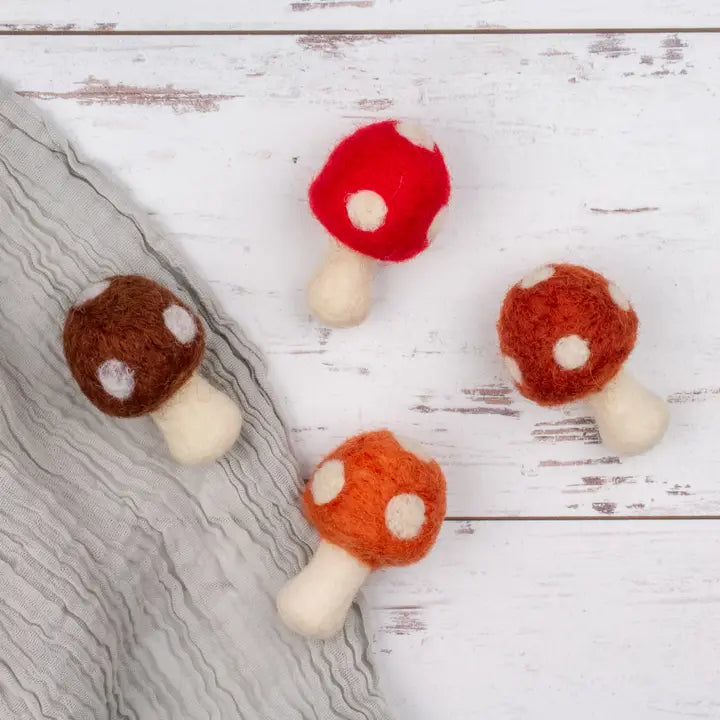 Organic Wool Eco Pet Toys