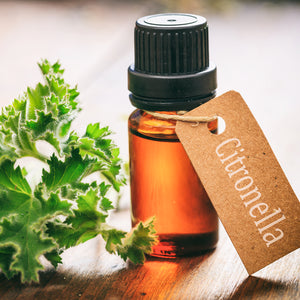 Citronella Essential Oil