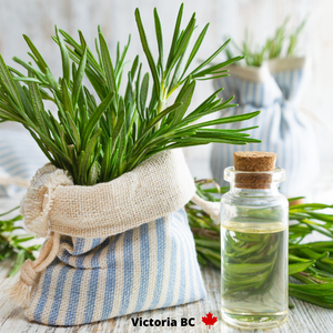 Rosemary Essential Oil