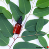 Eucalyptus Globulus Essential Oil