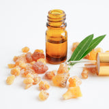 Frankincense Essential Oil