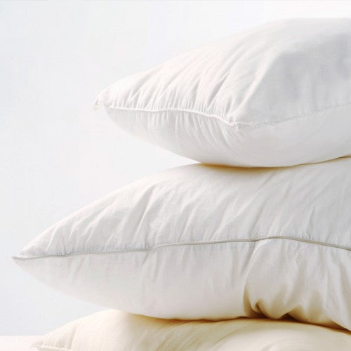 Wool Organic Pillow