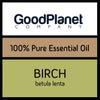 Birch Sweet Essential Oil