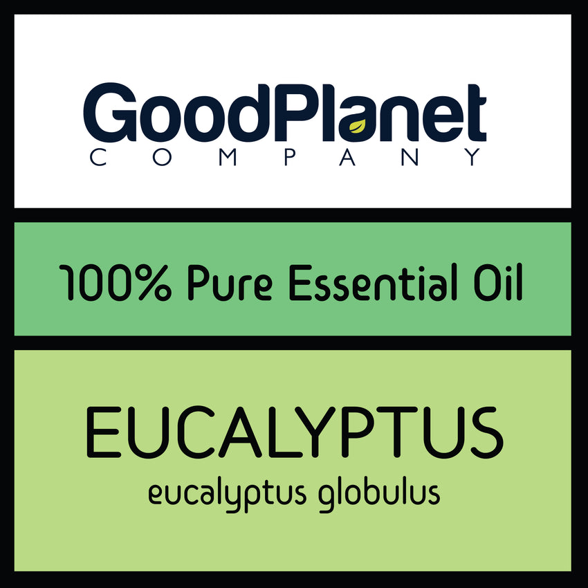 Eucalyptus Globulus Essential Oil