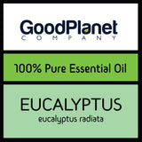 Eucalyptus Radiata Essential Oil