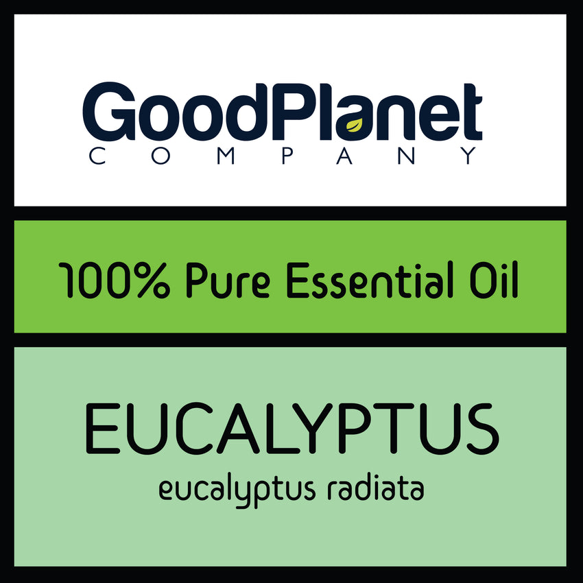 Eucalyptus Radiata Essential Oil