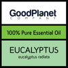 Eucalyptus Radiata Essential Oil