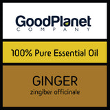 Ginger Essential Oil