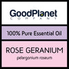 Rose Geranium Essential Oil