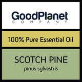 Scotch Pine Essential Oil