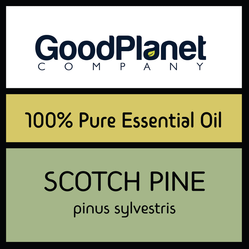 Scotch Pine Essential Oil